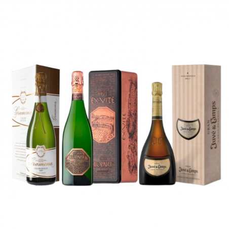 Pack Top Sparkling wines 